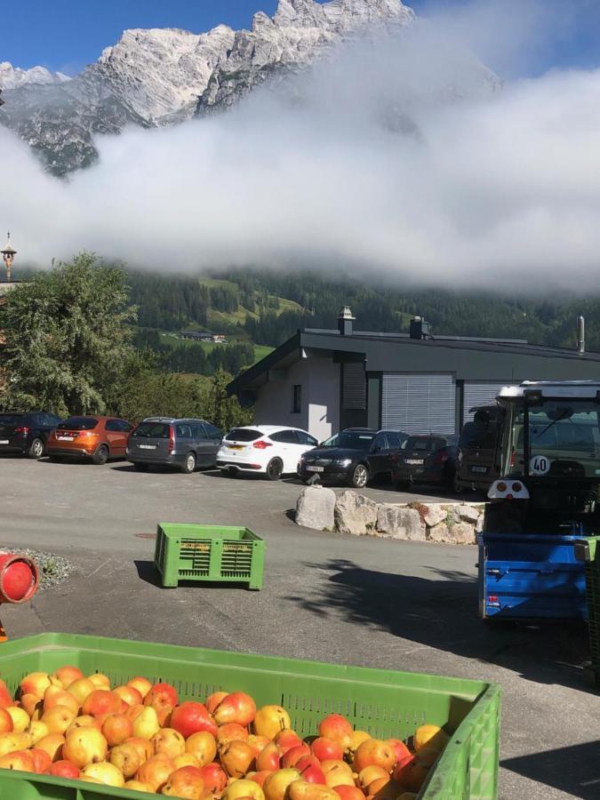 Stockis Mountaindestillerie - Appartements Leogang Exteriör bild